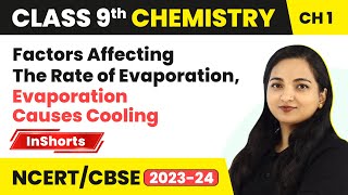 Factors Affecting The Rate of Evaporation Evaporation Causes Cooling Class 9 Chemistry [upl. by Gunther409]