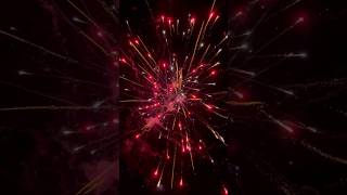 Retrosaurus 200g by pyro Diablo fireworks shorts fireworks [upl. by Anastasio71]