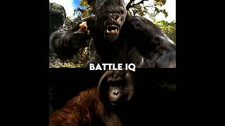 Gorilla Vs Orangutan [upl. by Garratt15]