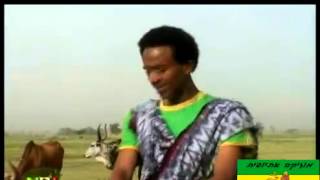 Melaku Nigus track 4 2013 New Ethiopian music Rayan Music Wollo Music Ethiopian Music [upl. by Avat]