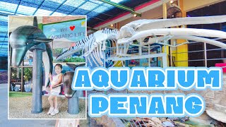 Malaysia  Penang Aquarium  Akuarium Tunku Abdul Rahman  AkuaTAR  槟城最实惠水族馆 [upl. by Ellimaj]