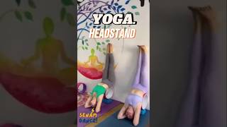 Begini Cara Latihan Yoga Headstand Untuk Pemula yogaheadstand yogaindonesia yogawheel yogalates [upl. by Ydrah]