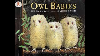 Owl Babies  Give Us A Story [upl. by Arvid]