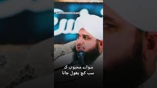 Mahboob shorts viral peerajmalrazaqadri islamicshorts islamicquot [upl. by Lemrahs]