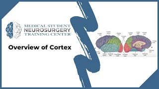 Overview of Cortex [upl. by Maillw]