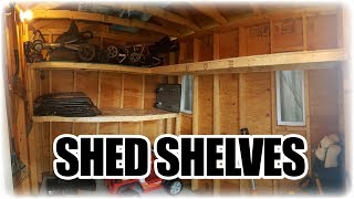 How to Make Simple and Cheap Shelves for a Shed [upl. by Previdi]