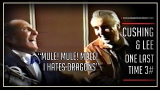 Peter Cushing and Christopher Lee The Last Meeting Clip 3 [upl. by Ahsinyt596]