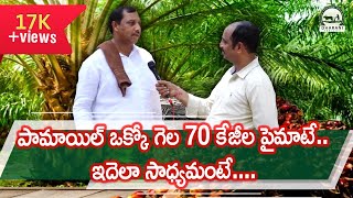 పామ్ అయిల్ తోటలో అద్భుతాలు సృష్టించిన quotమురళి గారుquot palm oil cultivation  9121329091 [upl. by Ciapas]