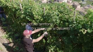 Colline del Prosecco di Conegliano e Valdobbiadene Patrimonio dellUmanità UNESCO [upl. by Aym415]