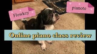 No3 Online piano class review Flowkey vs pianote I took two classes [upl. by Kosey679]