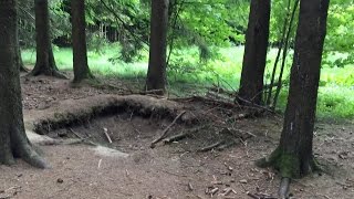 The real EASY COMPANY FOXHOLES in Bastogne in 2015 [upl. by Quartas]