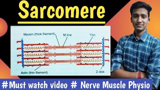 Sarcomere Actin and Myosin Nerve Muscle Physiology  hindi  Ashish [upl. by Ohare300]