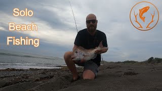 Solo Beach Fishing Adventure for Snapper [upl. by Averat]