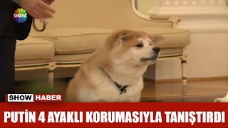 Putin 4 ayaklı korumasıyla tanıştırdı [upl. by Annaek]