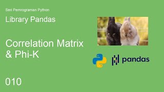 Pemrograman Python  Library Pandas  Correlation Matrix amp PhiK [upl. by Modesty551]