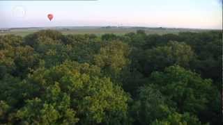 Ballonfeesten kleurich útein [upl. by Camden255]