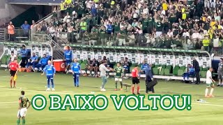 VOCÊ PISCOU E O PALMEIRAS AMASSOU VERDÃO VENCE EM CASA E É VICELÍDER DO BRASILEIRÃO  252 [upl. by Madelina287]