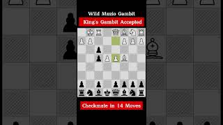 Kings Gambit Accepted Checkmate in 14 moves chessgame chessopening [upl. by Doty]