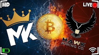 Terrahash Tuesday W Hawk Crypto Mining Co [upl. by Onafets]