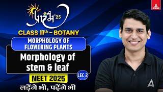 MORPHOLOGY OF FLOWERING PLANTS CLASS 11  NEET 2025  ALL CONCEPT AND THEORY  BY PARAM SIR 2 [upl. by Jobe]