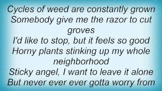 Cypress Hill  Dr Greenthumb Lyrics [upl. by Gilliette]