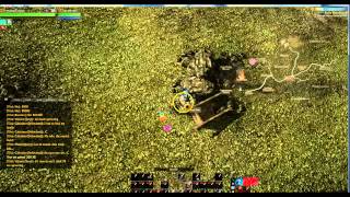 Archeage How to mine ore best spot for iron viens [upl. by Urbain118]