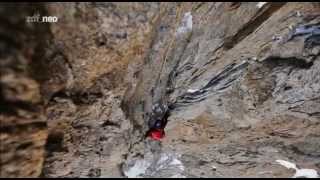 Doku  Die dunklen Seiten der Alpen  Die Grandes Jorasses Nordwand [upl. by Anirt]