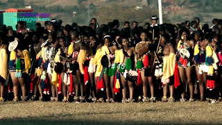 Swaziland Princess participates the Reed Dance Ceremony RD 15 [upl. by Donald]