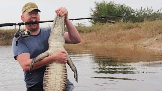 Fishing for Alligators Catch Clean Cook Alligator [upl. by Four]