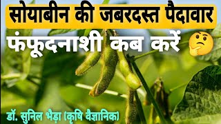 सोयाबीन की शानदार उपज के लिए फंजीसाइड का स्प्रै कब व क्यों करें  Soybean Fungicide Spray R3 Stage🧠🤔 [upl. by Ebbie]