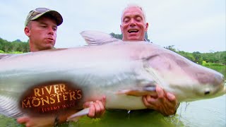 Catching A COLOSSAL Mekong Catfish  CATFISH  River Monsters [upl. by Ailaroc343]