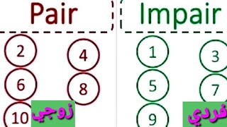 Pair Impair شرح واضح مع كيفية اللعب بالتفصيل [upl. by Oznarol]