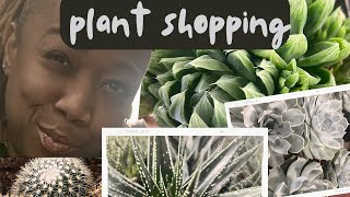 Plant Shopping Adventure Surprising Cacti and Succulent Finds [upl. by Eelrebmyk]