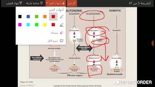 PHARMACOLOGY 1 CH6  Introduction to Autonomic Pharmacology  PART 1 علم الأدوية1 شابتر 6 [upl. by Nuavahs]