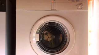 Bosch Tumble Dryer WTA2000  Loading starting and drying [upl. by Aihselat]