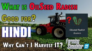 how to harvest oilseed radish in farming simulator 22 Hindi guide [upl. by Toomay]