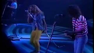 Van Halen LIVE 1989 Tokyo Concert part 2 14  Summer Nights  HIGH QUALITY  GFS [upl. by Mimajneb]