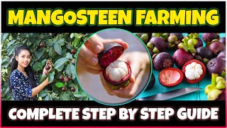 Mangosteen Farming  Growing Mangosteen from Seed at Home  Complete Mangosteen Cultivation Guide [upl. by Enineg]