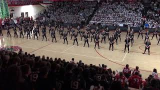 Lakeville North Pepfest Dance 2018 [upl. by Noah936]