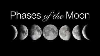 Phases and Motions of the Moon [upl. by Witha760]