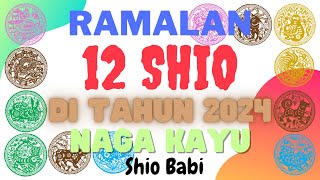 Shio Babi di Tahun 2024 [upl. by Teryn]