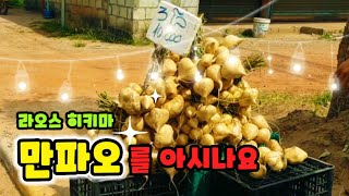 Ep61 우리집 핑거푸드 만파오  RedRoof fingerfood Mexican Potato called Jicama [upl. by Thorlay]