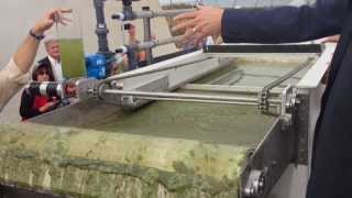 EWS Algae A60 HighSpeed ChemicalFree Algae Harvesting [upl. by Ahsyek]