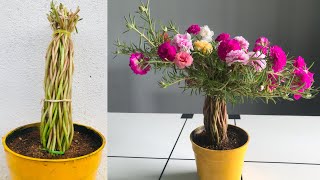 Moss rose Gardening Idea 4  Tree Shape in flower pot  Smart ideas to grow Portulaca grandiflora [upl. by Myriam]