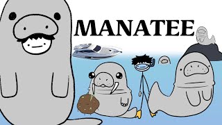 Manatee [upl. by Ahseetal780]