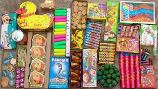 Testing New Diwali Crackers 2024  Crackers Testing 2024  Diwali Fireworks Testing  2024 Diwali [upl. by Phippen]