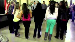 Lebanese Dabke dance at Independence Day event [upl. by Nnaeerb]