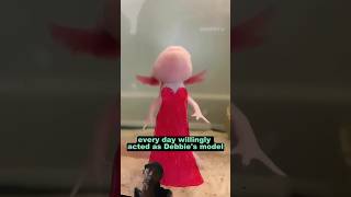 Gentle hexagon fish axolotl fish cute animals aquarium shortvideo newt youtubeshorts rescue [upl. by Alekahs]