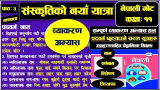 संस्कृतिको नयाँ यात्रा निबन्ध  Class  11 व्याकरण अभ्यास पदवर्ग नाम सर्वनाम विशेषण र क्रियापद [upl. by Omura]