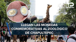 ¡Monedas conmemorativas Ésta es la nueva atracción del Zoológico de Chapultepec [upl. by Fu]